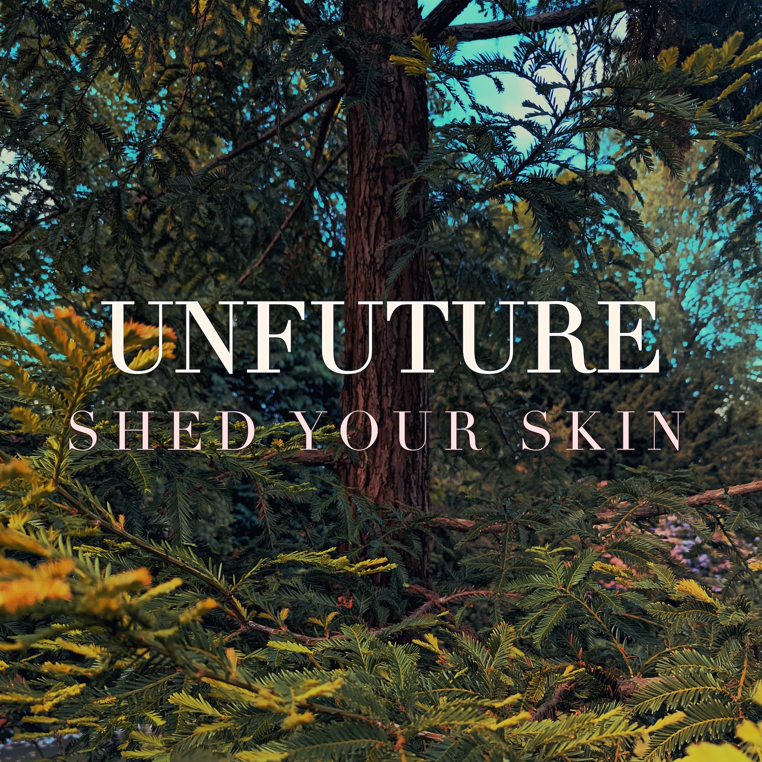 The cover image for Shed Your Skin